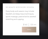 90 minute bodywork session - screenshot